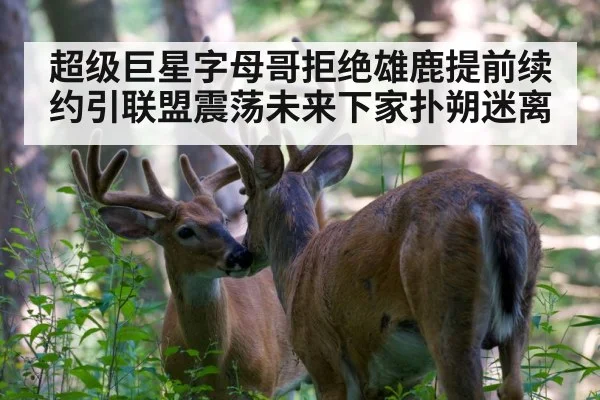 超级巨星字母哥拒绝雄鹿提前续约引联盟震荡未来下家扑朔迷离